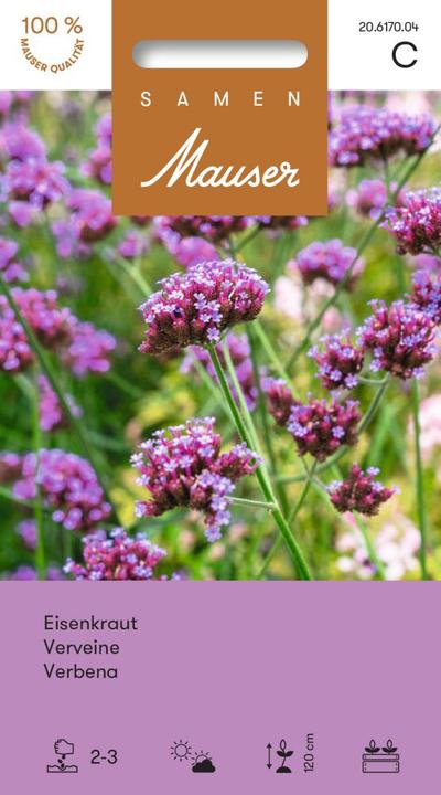 Image du produit Samen Mauser Eisenkraut (Graines de fleurs)