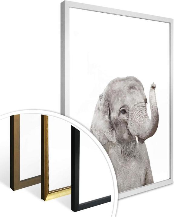 Image du produit Trenddeko Baby Elefant (50 x 60 cm)