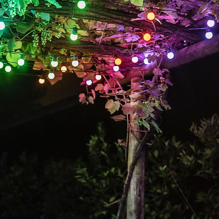 Image du produit Twinkly Festoon (10 m)