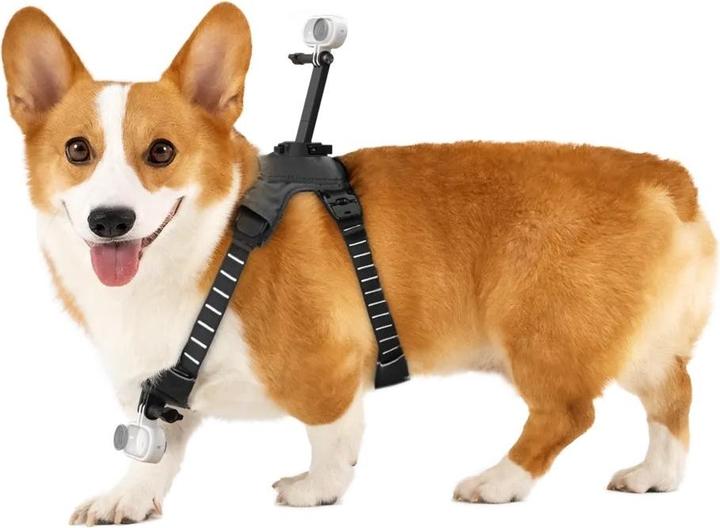 Produktbild Insta360 Pet Harness Mount (Insta360 Go 3)