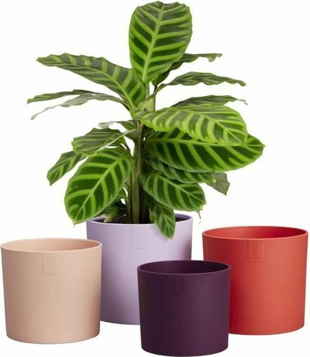 Produktbild Elho Lex Pott Set (20 x 13.60 cm)