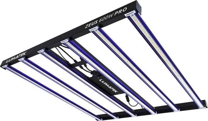 Actual product image