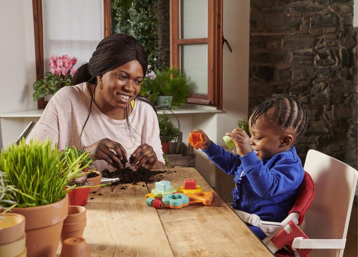 Immagine prodotto Chicco Sorter di forma Baobab - Eco+