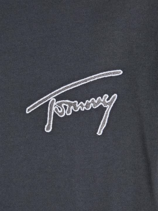 Actual product image Tommy Hilfiger TJM CLSC Signature T DM0DM16240 Pub L (L)