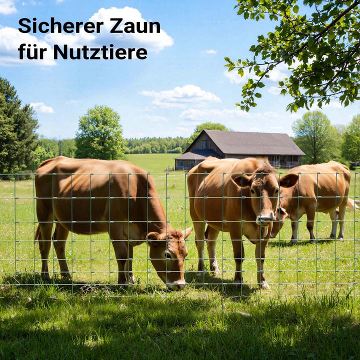 Produktbild Wiltec Wildzaun Weidezaun 50m lang 100/08/15 Drahtzaun Knotengeflecht Forstzaun