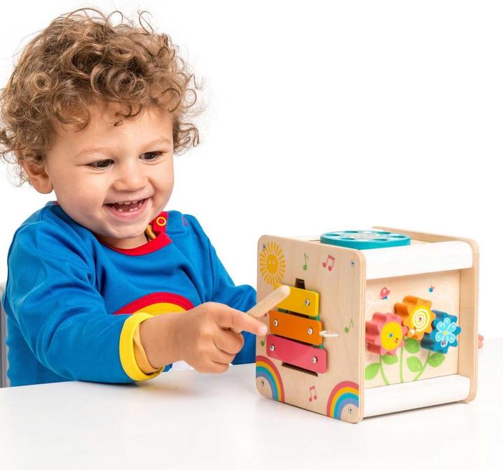 Actual product image Le Toy Van Activity cube