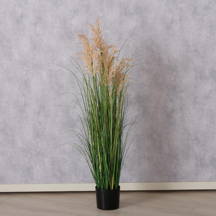 Immagine prodotto Boltze Home Dnengras (130 cm)