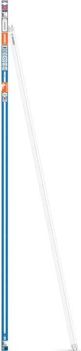 Produktbild Osram LED TUBE T8 EM BIO-LUMILUX 1500 mm 18.3W 965 (G13, 18.30 W, 2200 lm, 8 x, E)