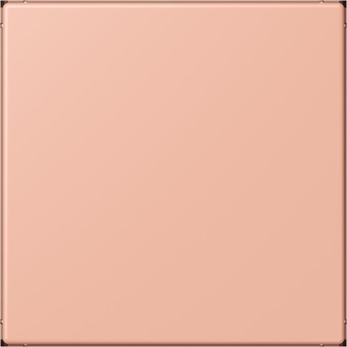 Produktbild JUNG Blindabdeckung