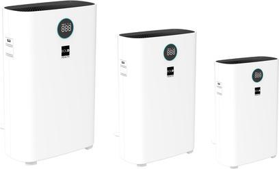 Actual product image Bold 10648 (43 m²)