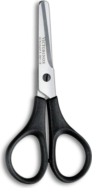 Actual product image Victorinox Ciseaux 10 cm (10 cm)