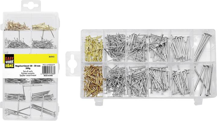 Immagine prodotto Easy Work Assortimento di chiodi (1 Pezzo/i, 10 mm)