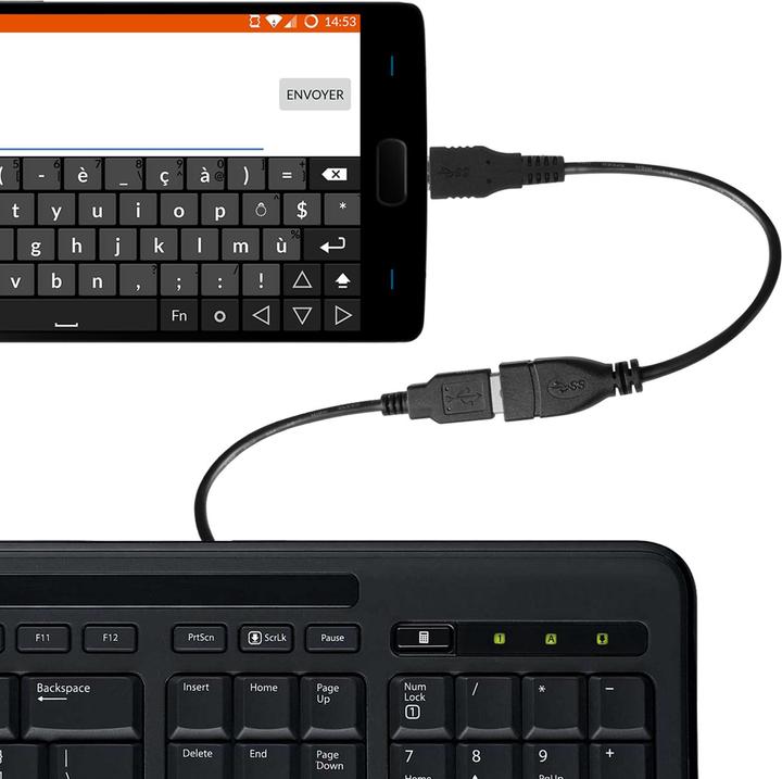 Actual product image Avizar OTG / USB-C adapter cable (USB-A)