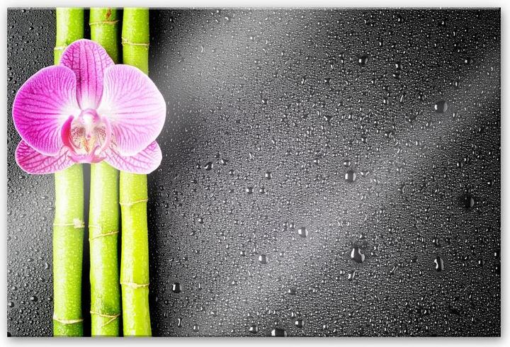 Immagine prodotto Trenddeko Orchidea e bambù (60 x 40 cm)