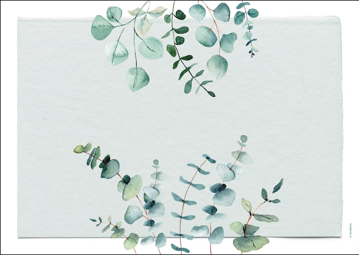 Image du produit Trendform Eucalyptus (48 x, 42 x 30 cm)