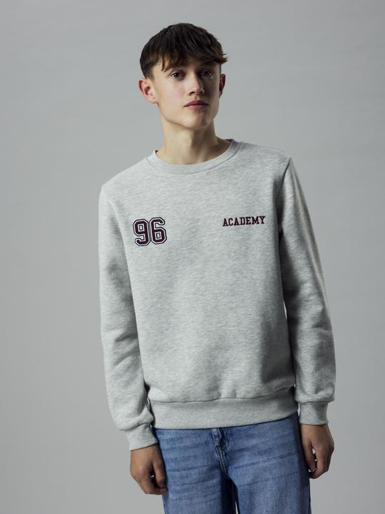 Actual product image Lmtd Langarm Sweatshirt (170, 176)