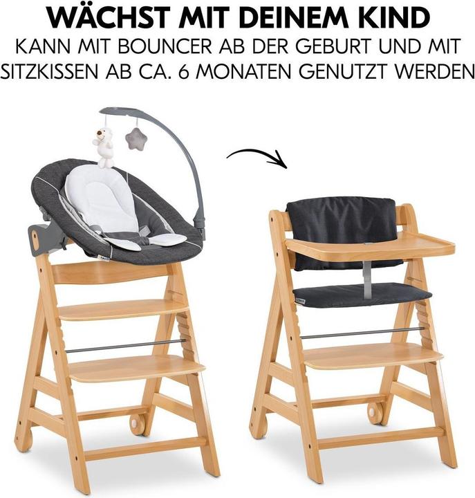 Immagine prodotto Hauck Set di mosse Alpha (Seggiolone)