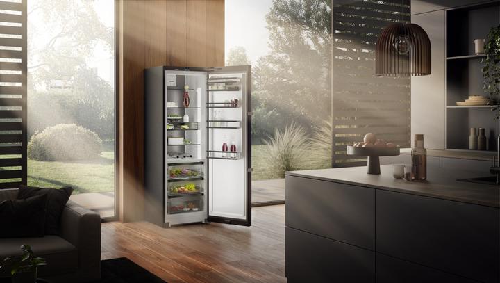 Actual product image Liebherr plus REFRIGERATOR STAND. 186X60 (RBBSB 525I) (386 l)