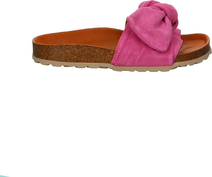 Actual product image Verbenas Roxy Flamingo (38)