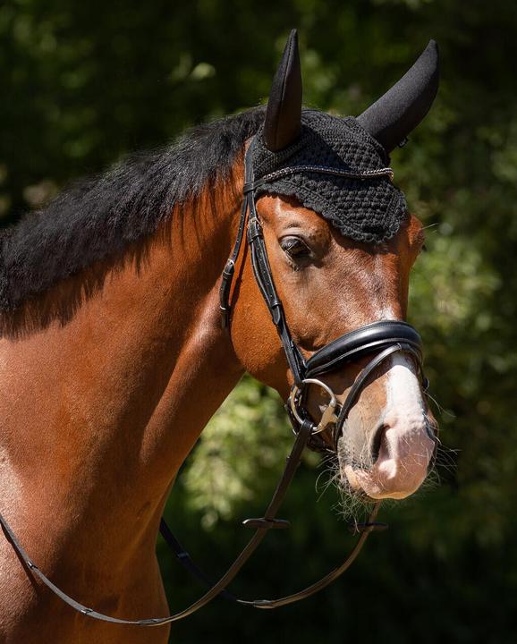 Actual product image Qhp Flore