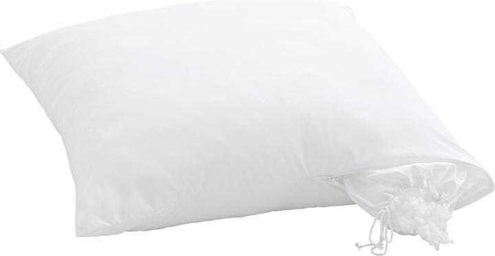 Immagine prodotto Billerbeck Clivia (50 x 70 cm)