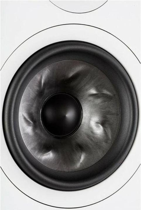 Actual product image Polk Reserve R500 (1 pair)