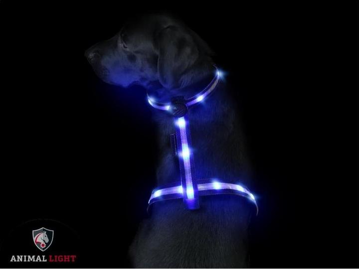 Image du produit Animal Light Glow (L, Chien, Général)