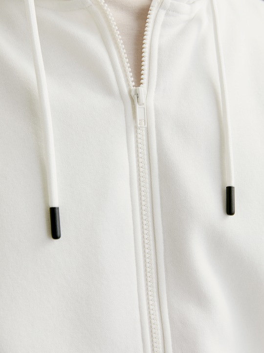 Image du produit Jack & Jones Jjebradley Sweat Zip Hood Noos (XXL)