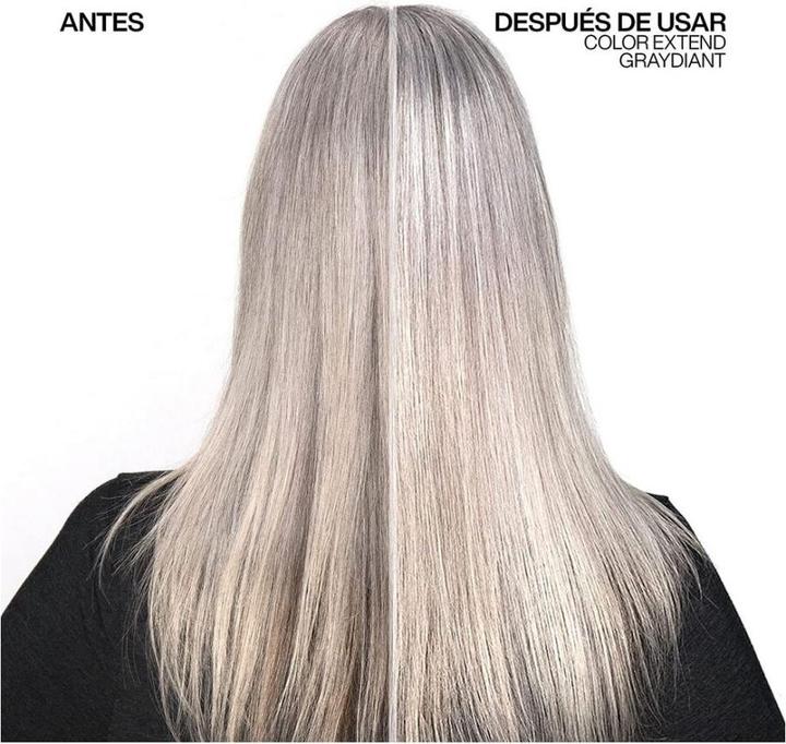 Actual product image Redken Color Extend Graydiant (300 ml)
