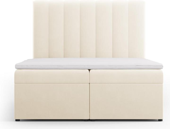 Actual product image Micadoni Kelp (200 x 240 cm)