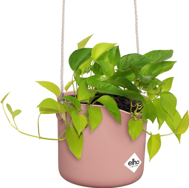 Produktbild Elho B.for Swing (20 x 17 cm)