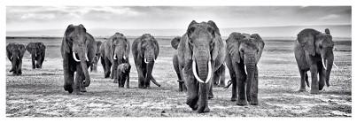 Produktbild Eibert Visual Bilder (30 x 97 cm)