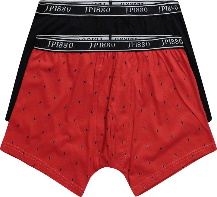 Actual product image JP1880 Mid pants FLEXNAMIC®, OEKO-TEX, 2-pack, underpants (XXL, pack of 2)