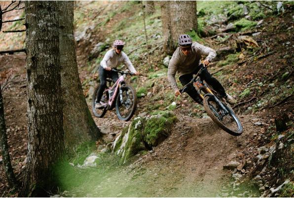 Produktbild Alpina Rootage 2 Mips (55 - 59 cm)