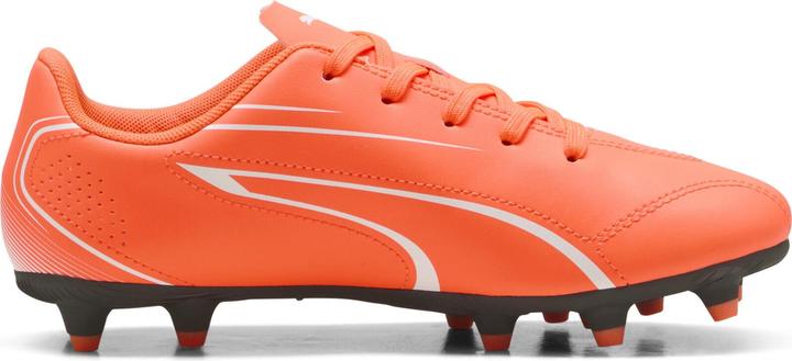 Actual product image Puma Vitoria FG/AG (35.5)
