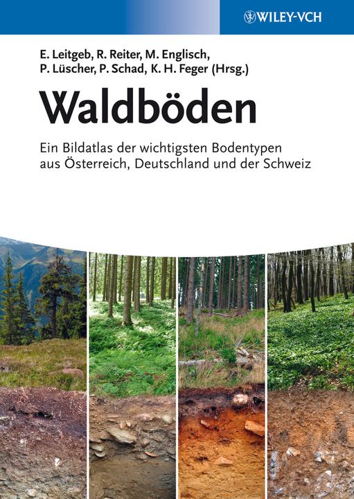 Produktbild Waldböden (Deutsch, 2013)