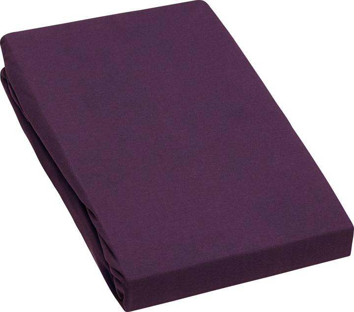 italian plum