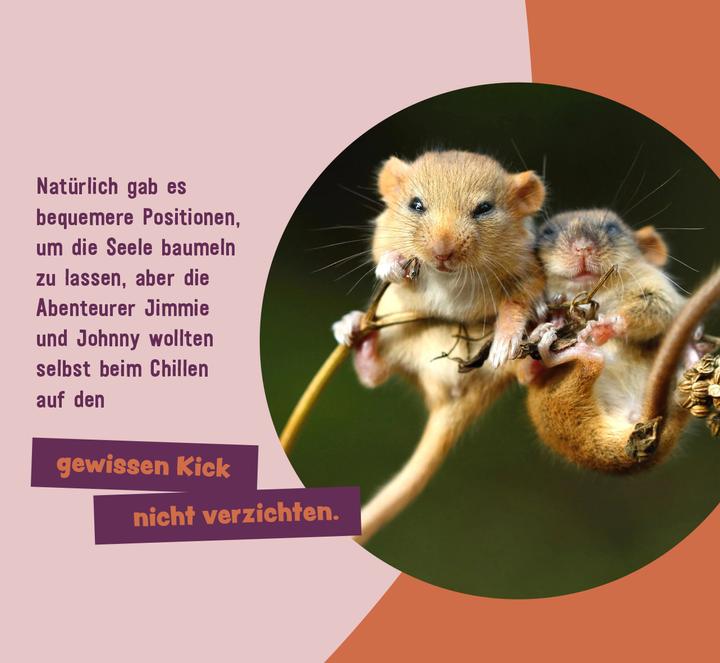 Produktbild Tierisch gechillt! (Deutsch, Paulus Vennebusch, 2024)