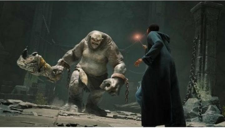 Actual product image WB Switch Hogwarts Legacy EU (Switch)