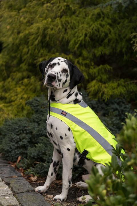 Actual product image Trixie Safety waistcoat, reflective (XS, Dog vest)