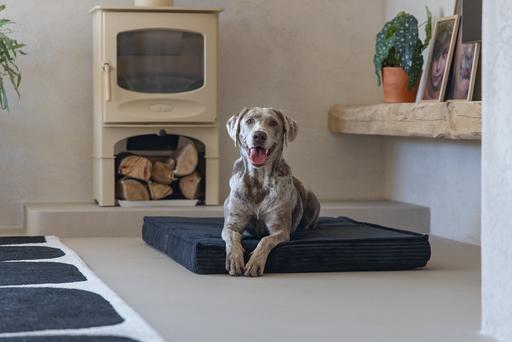 Designed by Lotte Orthopaed cage cushion Ribbed