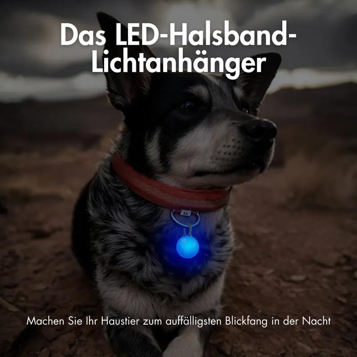 Produktbild Suba Hunde Sicherheits Blinklicht Clip-On LED (Hund, Allgemein)
