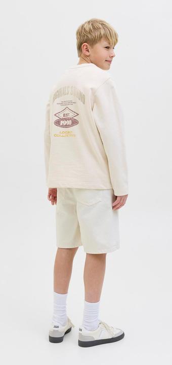Actual product image Jack & Jones Loose Fit Shorts Junior Shorts (134)
