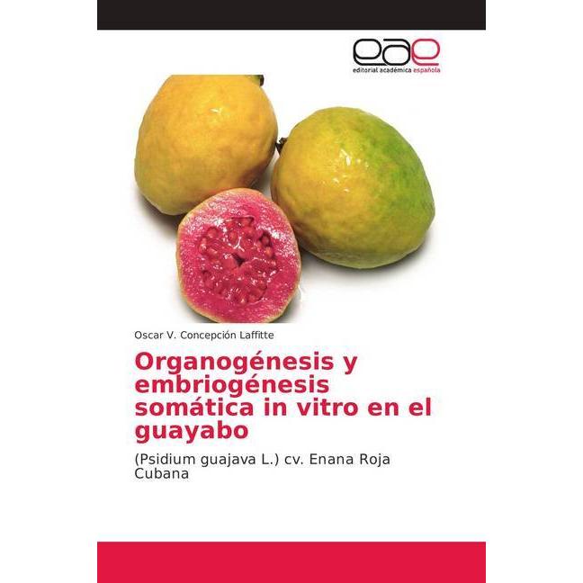 Organogénesis y embriogénesis somática in vitro en el guayabo, Fachbücher von Oscar V. Concepción Laffitte