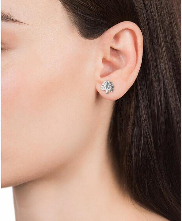 Produktbild Viceroy Silver Earrings Tree of Life Popular 5101E000-30 (L)