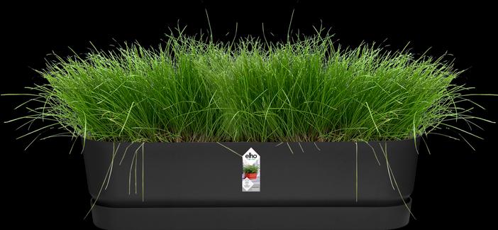 Actual product image Elho Greenville (19.50 cm)