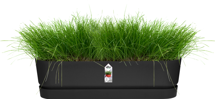 Actual product image Elho Greenville (19.50 cm)
