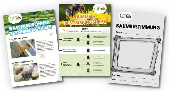 Actual product image Geolino - Discover and explore nature