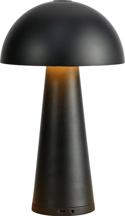 Matt Black