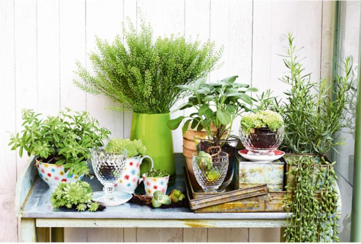 Produktbild Villeroy & Boch Rotweinglas Boston (31 cl, 1 Gläser, Rotweingläser)